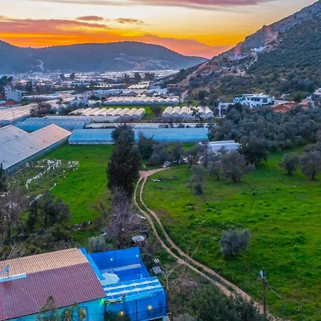 Вилла Yesilkoy 2 Bedroom With Pool Калкан